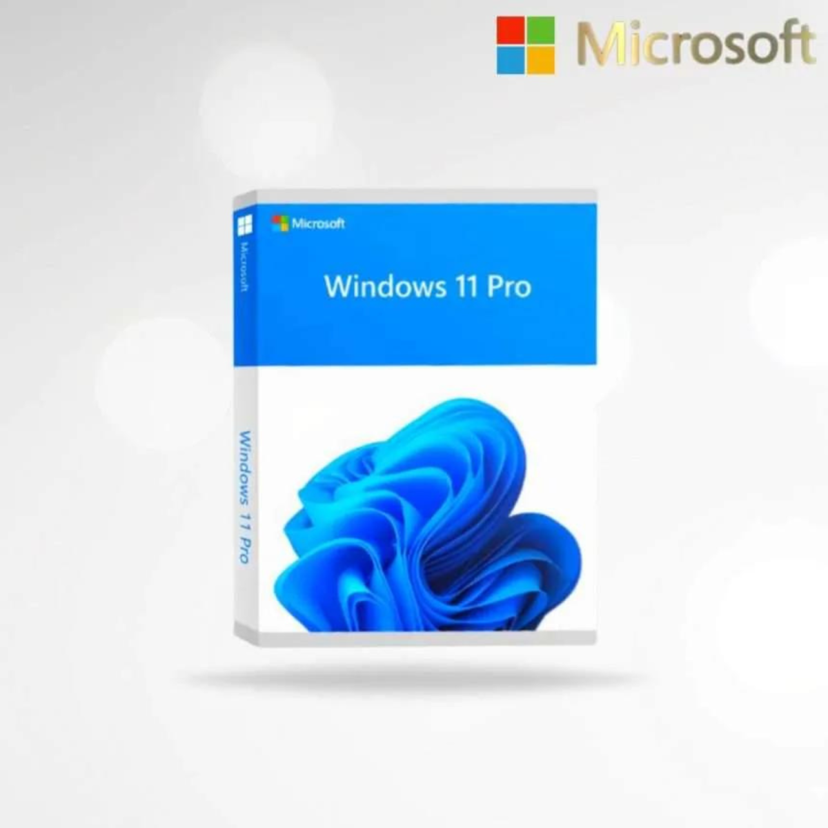 Windows 11  Professional | Lifetime License